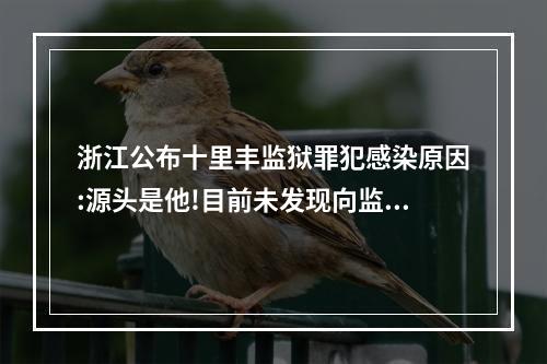 浙江公布十里丰监狱罪犯感染原因:源头是他!目前未发现向监狱外扩散!