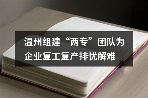 温州组建“两专”团队为企业复工复产排忧解难