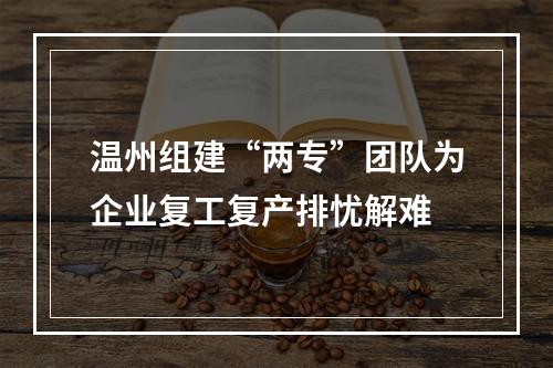 温州组建“两专”团队为企业复工复产排忧解难