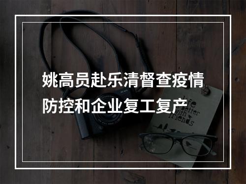 姚高员赴乐清督查疫情防控和企业复工复产
