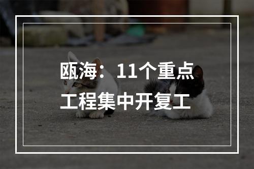 瓯海：11个重点工程集中开复工
