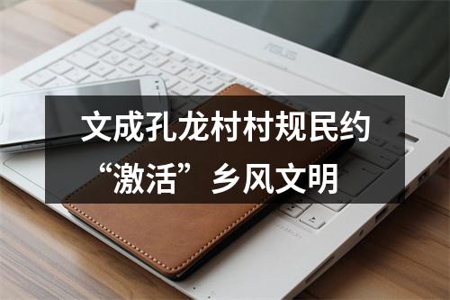 文成孔龙村村规民约“激活”乡风文明