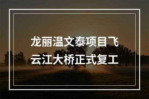 龙丽温文泰项目飞云江大桥正式复工