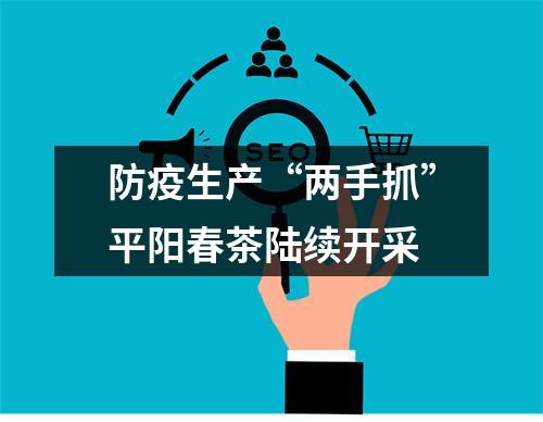 防疫生产“两手抓”平阳春茶陆续开采