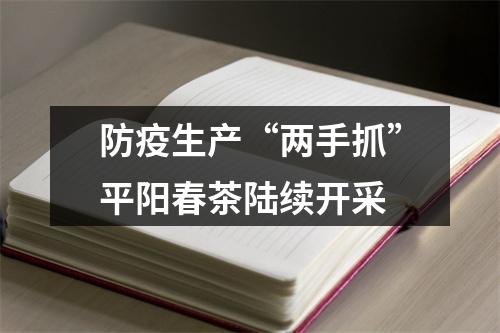 防疫生产“两手抓”平阳春茶陆续开采