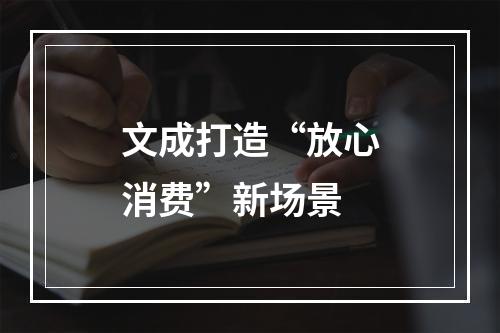 文成打造“放心消费”新场景