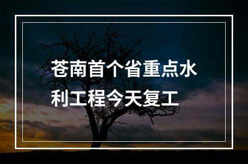 苍南首个省重点水利工程今天复工