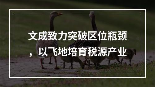 文成致力突破区位瓶颈，以飞地培育税源产业