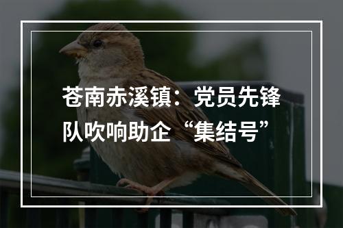 苍南赤溪镇：党员先锋队吹响助企“集结号”