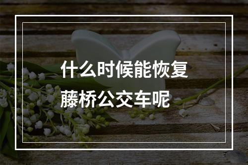 什么时候能恢复藤桥公交车呢