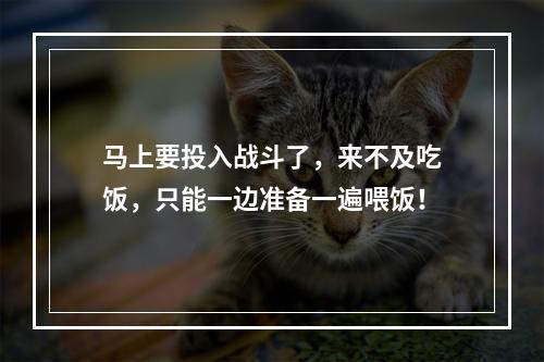 马上要投入战斗了，来不及吃饭，只能一边准备一遍喂饭！
