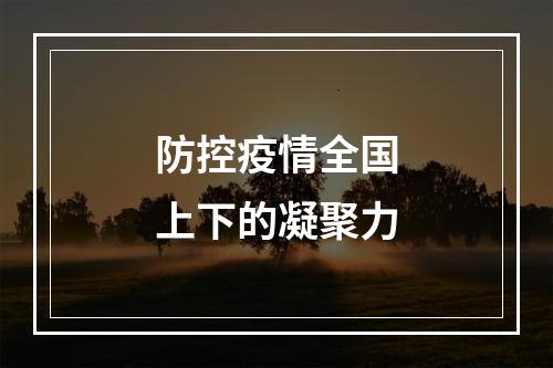 防控疫情全国上下的凝聚力