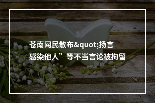 苍南网民散布"扬言感染他人”等不当言论被拘留