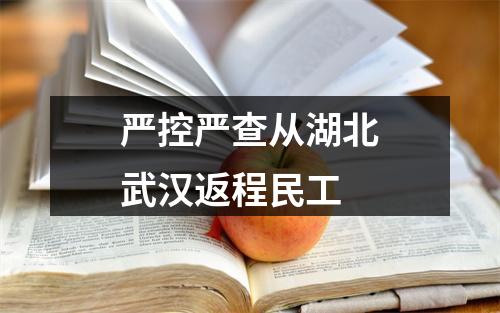 严控严查从湖北武汉返程民工