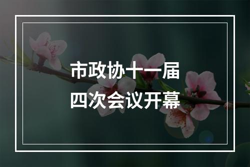 市政协十一届四次会议开幕