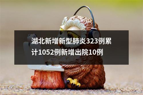 湖北新增新型肺炎323例累计1052例新增出院10例