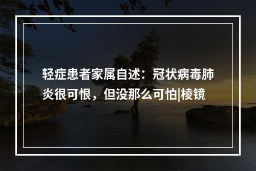 轻症患者家属自述：冠状病毒肺炎很可恨，但没那么可怕|棱镜