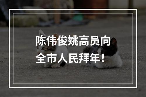 陈伟俊姚高员向全市人民拜年！