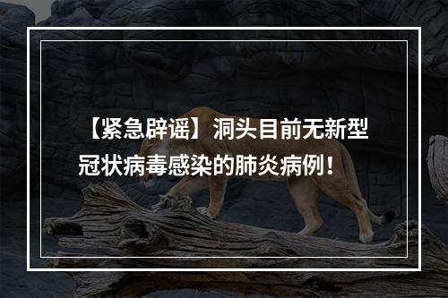 【紧急辟谣】洞头目前无新型冠状病毒感染的肺炎病例！