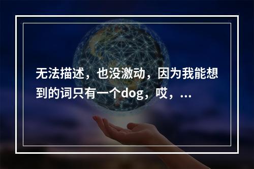 无法描述，也没激动，因为我能想到的词只有一个dog，哎，不说了讲正事吧：上了一年