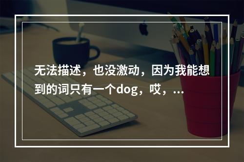 无法描述，也没激动，因为我能想到的词只有一个dog，哎，不说了讲正事吧：上了一年