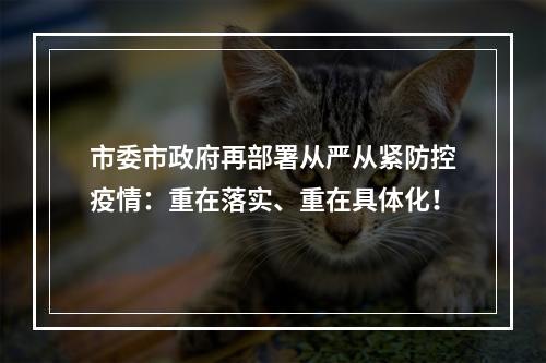 市委市政府再部署从严从紧防控疫情：重在落实、重在具体化！