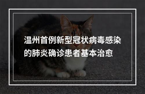温州首例新型冠状病毒感染的肺炎确诊患者基本治愈