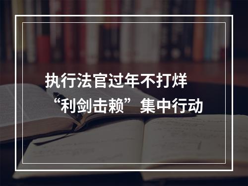 执行法官过年不打烊 “利剑击赖”集中行动