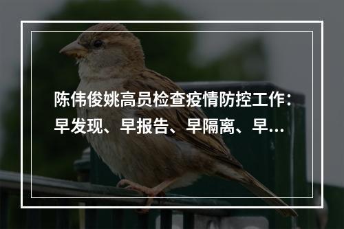 陈伟俊姚高员检查疫情防控工作：早发现、早报告、早隔离、早治疗