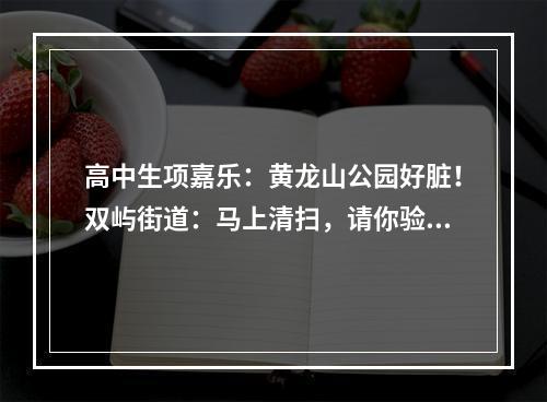 高中生项嘉乐：黄龙山公园好脏！双屿街道：马上清扫，请你验收
