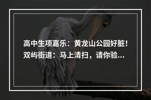 高中生项嘉乐：黄龙山公园好脏！双屿街道：马上清扫，请你验收