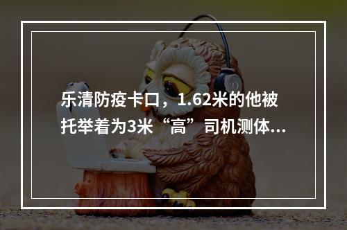 乐清防疫卡口，1.62米的他被托举着为3米“高”司机测体温