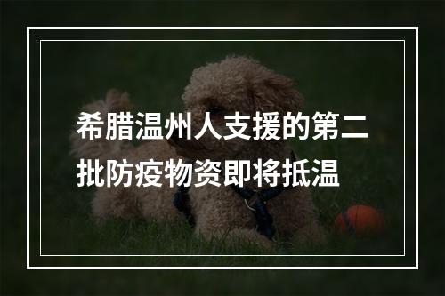 希腊温州人支援的第二批防疫物资即将抵温