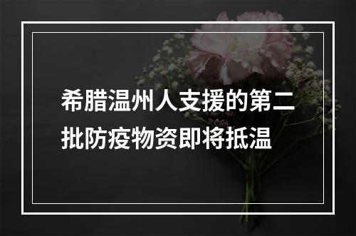 希腊温州人支援的第二批防疫物资即将抵温