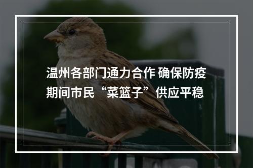温州各部门通力合作 确保防疫期间市民“菜篮子”供应平稳
