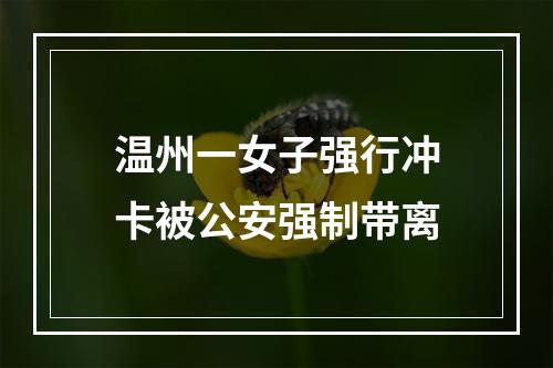 温州一女子强行冲卡被公安强制带离