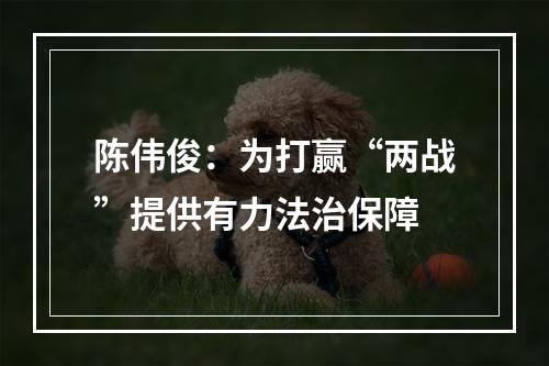 陈伟俊：为打赢“两战”提供有力法治保障