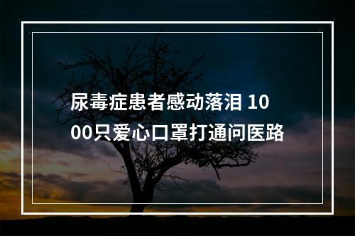 尿毒症患者感动落泪 1000只爱心口罩打通问医路