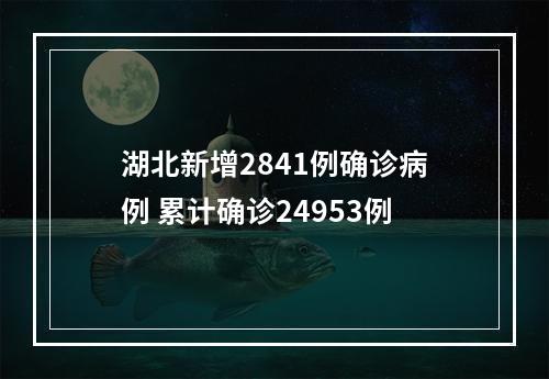 湖北新增2841例确诊病例 累计确诊24953例