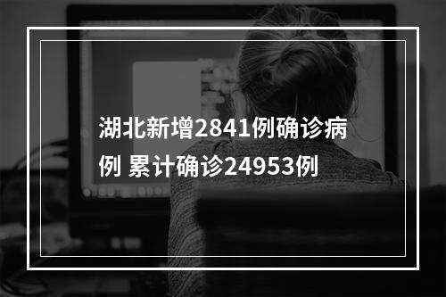 湖北新增2841例确诊病例 累计确诊24953例