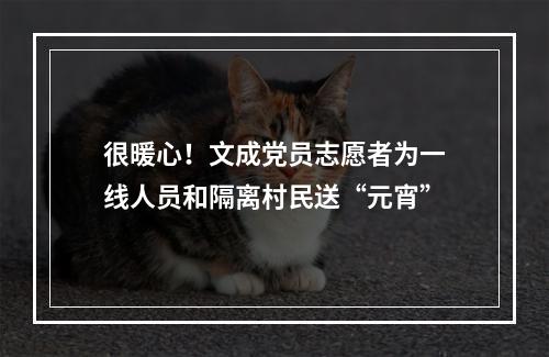 很暖心！文成党员志愿者为一线人员和隔离村民送“元宵”