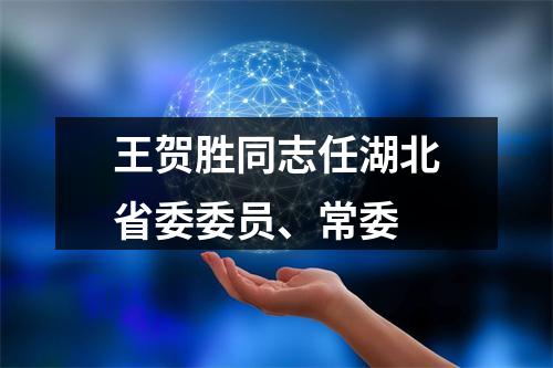 王贺胜同志任湖北省委委员、常委
