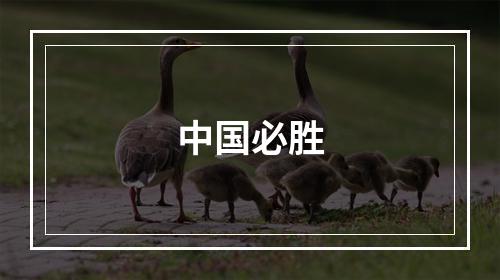 中国必胜