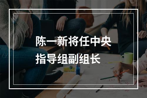 陈一新将任中央指导组副组长