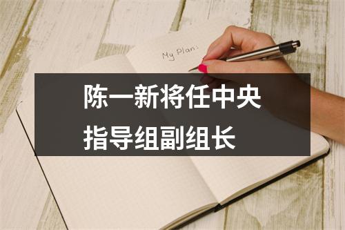 陈一新将任中央指导组副组长
