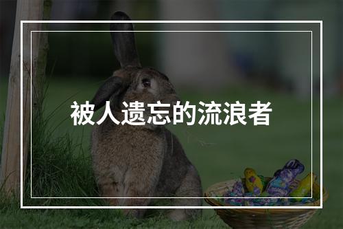 被人遗忘的流浪者