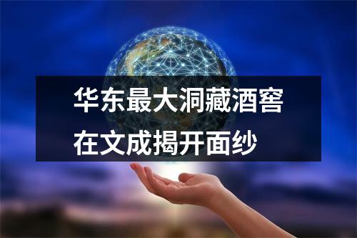 华东最大洞藏酒窖在文成揭开面纱