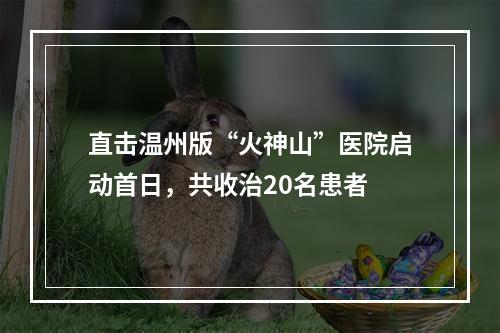 直击温州版“火神山”医院启动首日，共收治20名患者