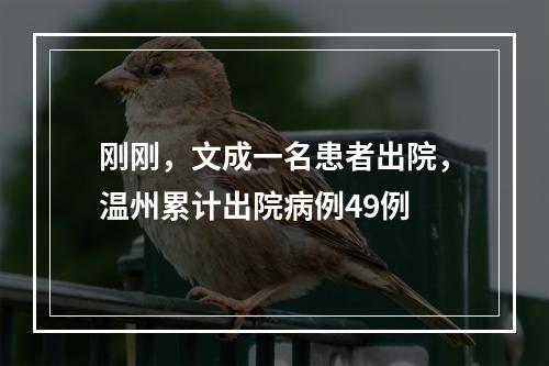 刚刚，文成一名患者出院，温州累计出院病例49例