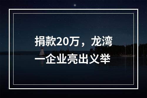 捐款20万，龙湾一企业亮出义举